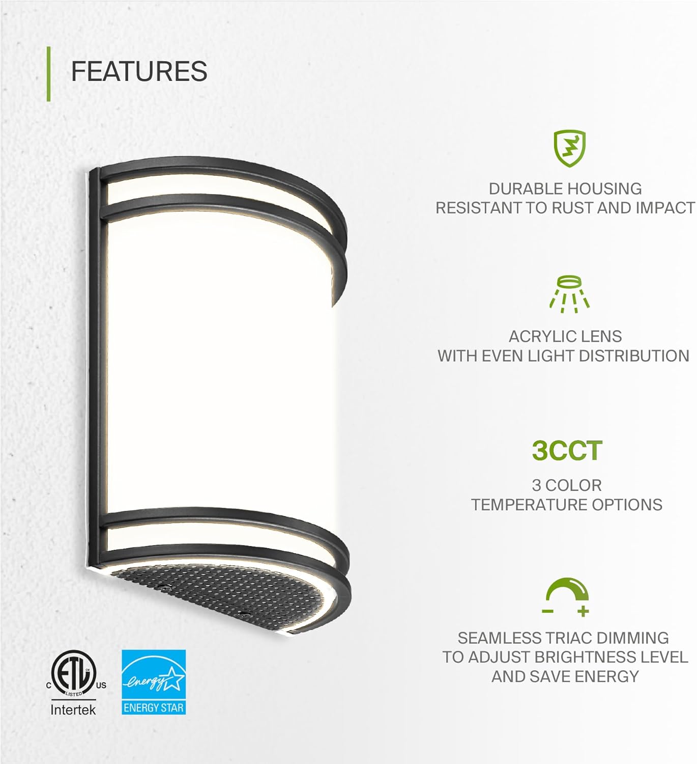Matte Black Half Cylinder Wall Sconce