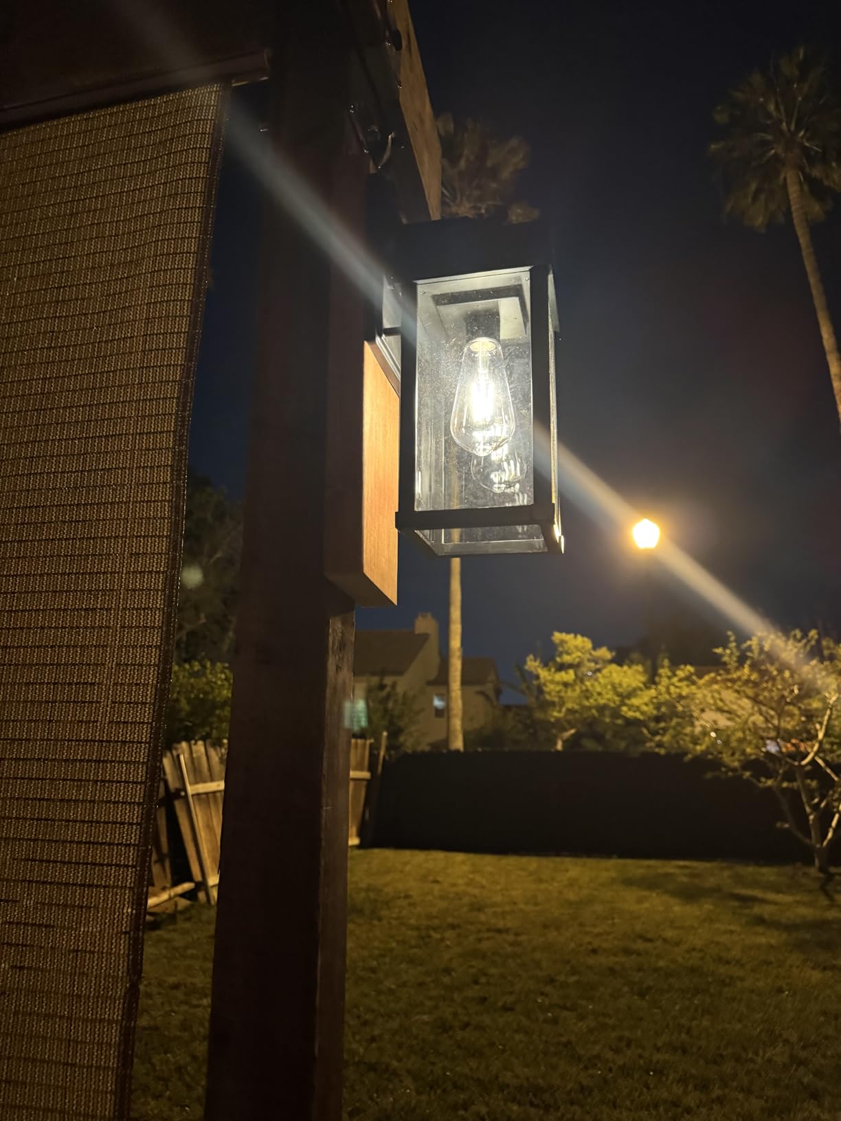 Outdoor light fixture on a building exterior at night with a palm tree in the background.