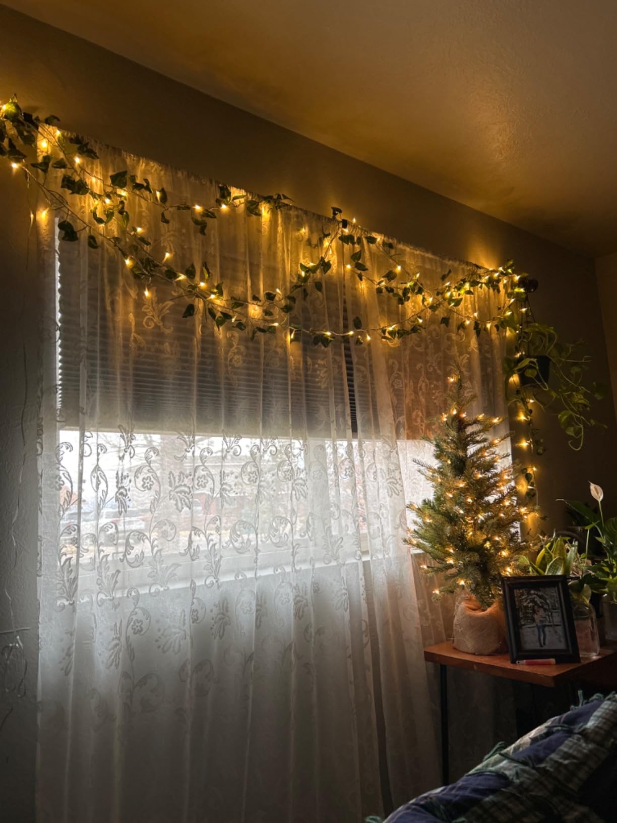 Room interior with string lights, curtains, and a small Christmas tree.
