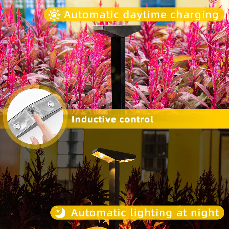 Solar Garden Pathway Light